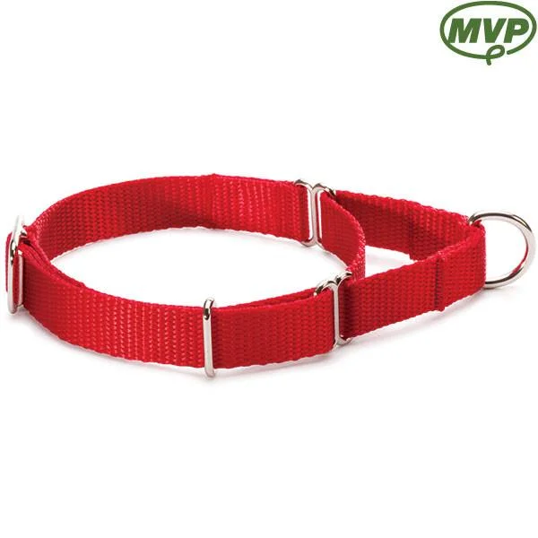 3/4" Martingale-Style Collar