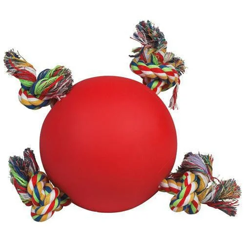 6.5 Inch Red Tuggy Ball With Rope Dog Toy