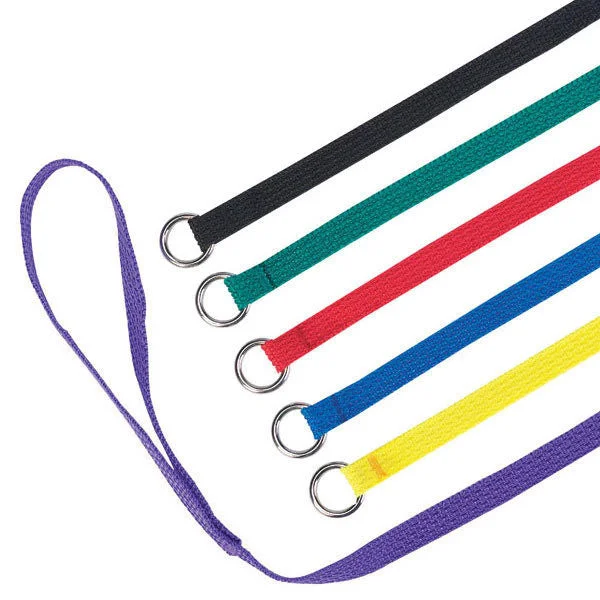 6 Pack Bulk Nylon Kennel Slip Style Dog Leads