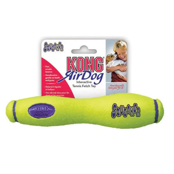 Air Kong Squeaker Fetch Stick