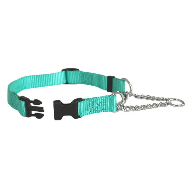 Aqua Marine Adjustable Chain Quick Release Martingale Dog Collar