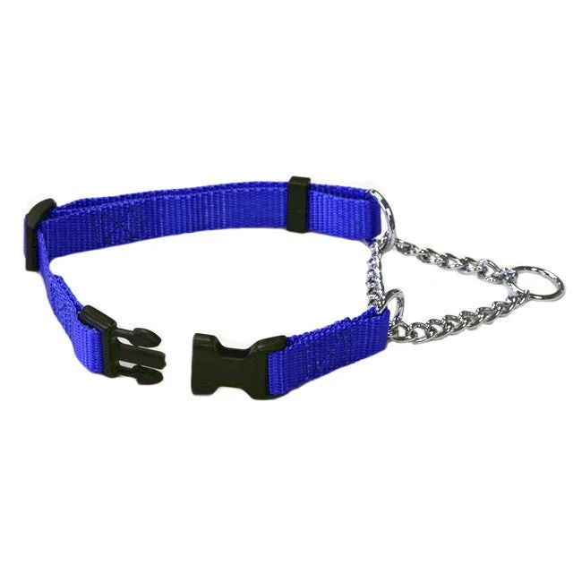 Blue Adjustable Chain Quick Release Martingale Dog Collar