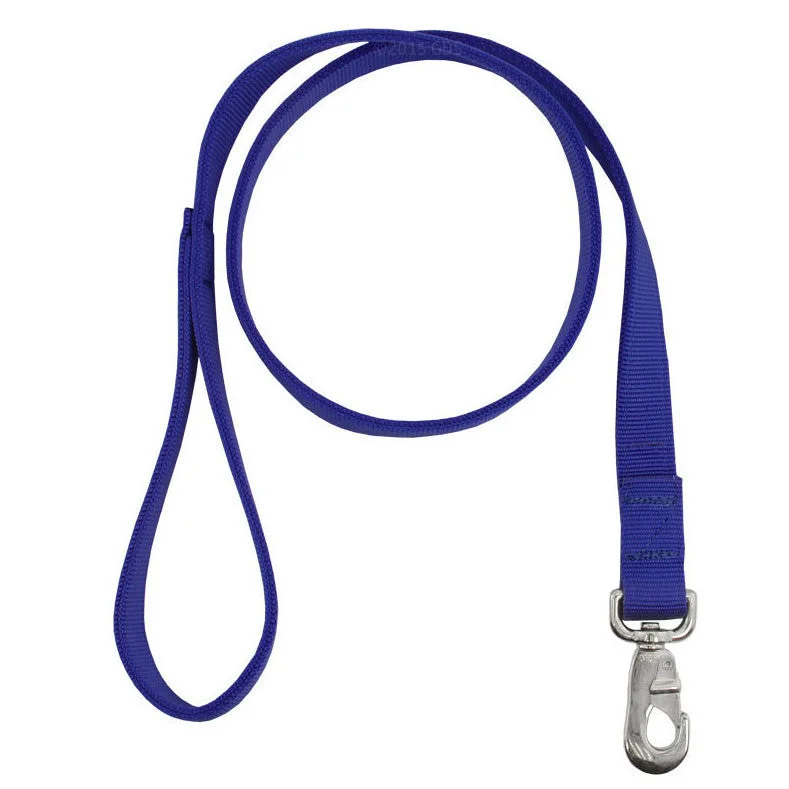 Blue Bravo 4ft Double Layer Nylon Dog Lead