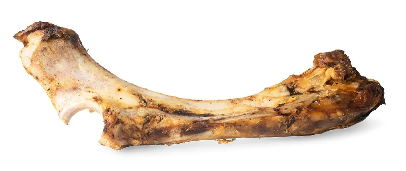 ChewMax Slammer Beef Bone, 14" L