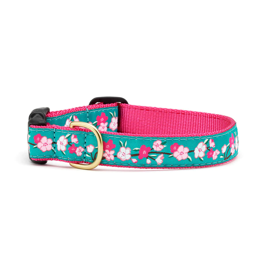 Cherry Blossom Dog Collar