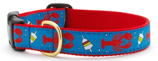 Lobster & Buoy Dog Collar