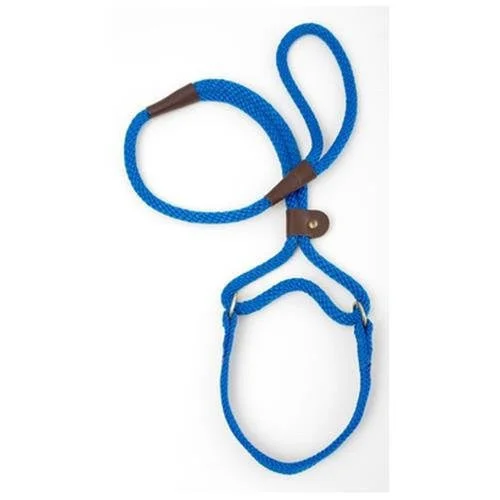 Blue Mendota Dog Walker Martingale Lead 3/8 x 6ft