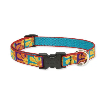 Crazy Daisy Lupine Lifetime Guaranteed Dog Collar