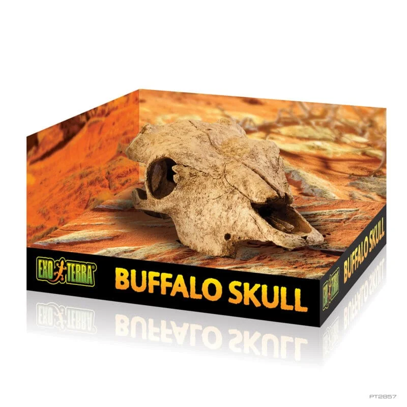 EXOTERRA BUFFALO SKULL