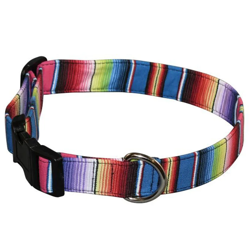 Fiesta Dog Collar