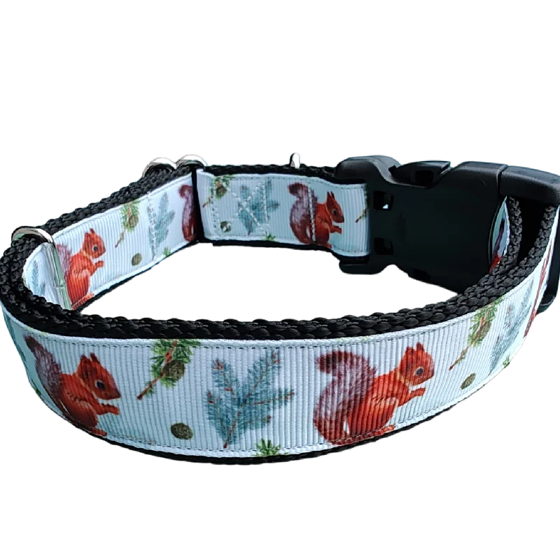 Forest Squirrel Nylon Dog Collar