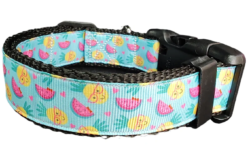 Fruit Party Nylon Dog Collar