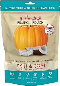 Grandma Lucy's Pumpkin Pouch - Skin & Coat