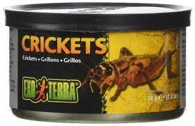 HAGEN EXOTERRA CRICKETS SM