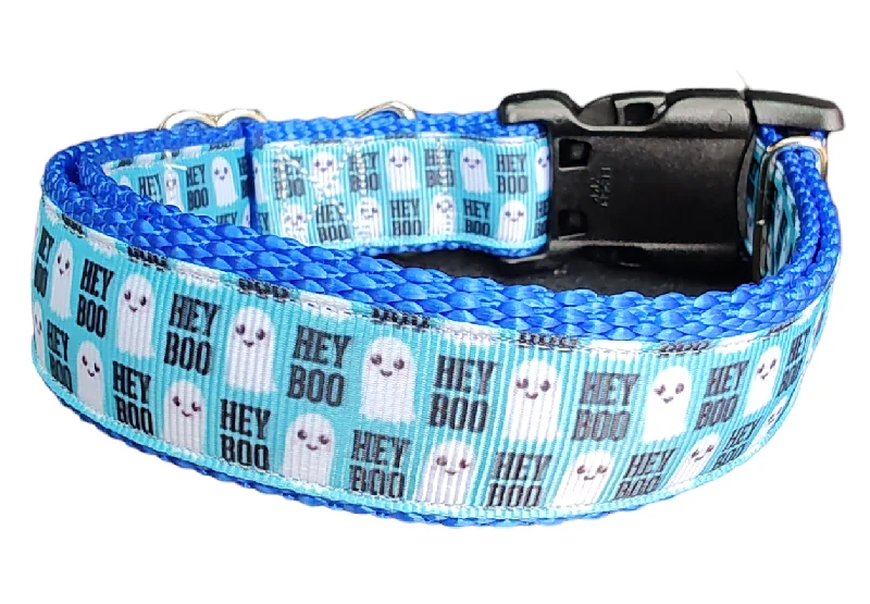 Halloween Hey BOO! Nylon Dog Collar