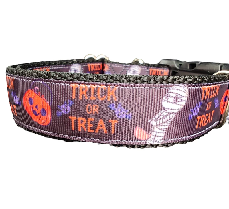 Halloween Trick Or Treat Nylon Dog Collar