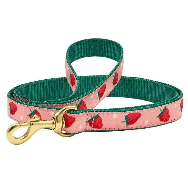 Leash | Strawberry Fields