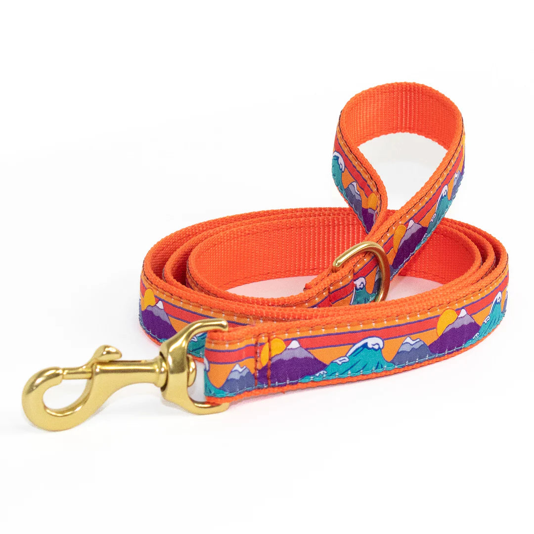 Leash | Surf & Ski