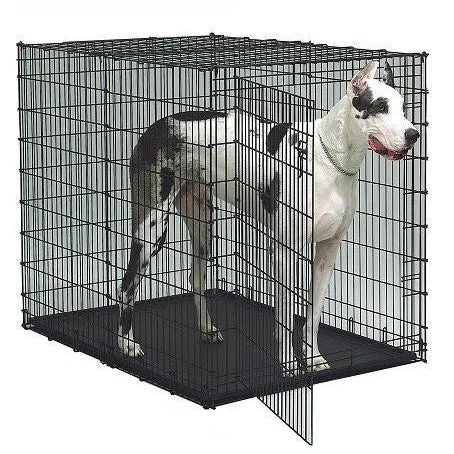 Midwest Colossal Dog Crate