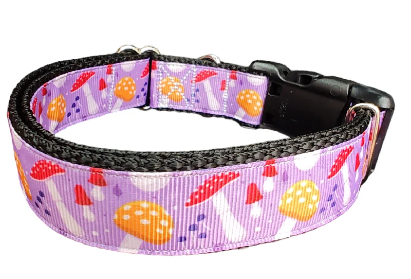 Mushrooms Nylon Dog Collar