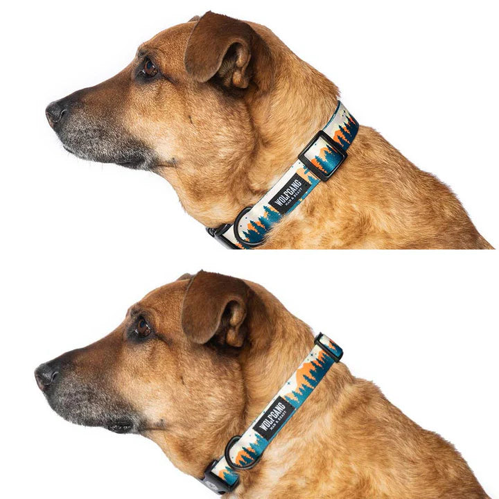 OverLand DOG COLLAR - Durable and Stylish Design for All Breeds and Sizes