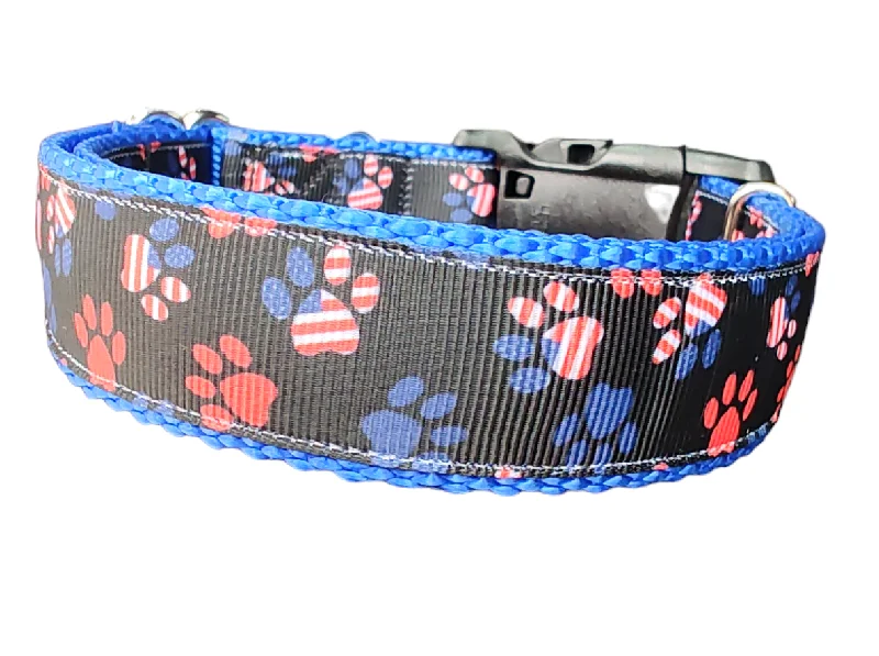 Patriotic Paws Nylon Dog Collar