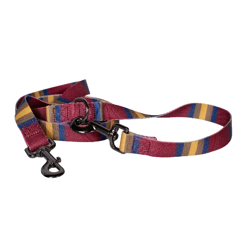 Pendleton Park Adventure Leash | Zion