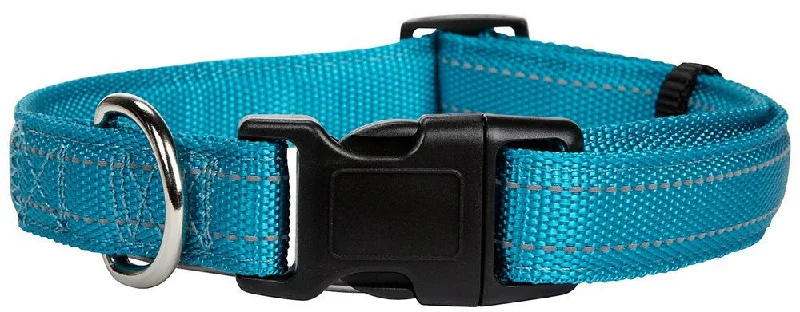 Petmate Padded Reflective Dog Collar Teal 1 Inch X 18-26in