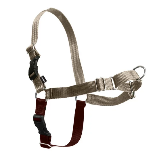 PetSafe Easy Walk Fawn & Brown Dog Harness (Petite)