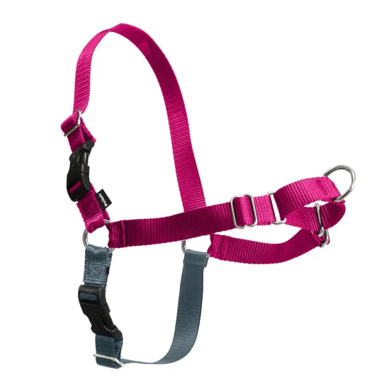 PetSafe Easy Walk Raspberry & Gray Dog Harness (Small)