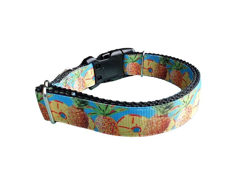 Pineapple Nylon Dog Collar