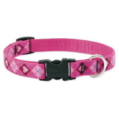 Puppy Love Lupine Lifetime Guaranteed Dog Collar