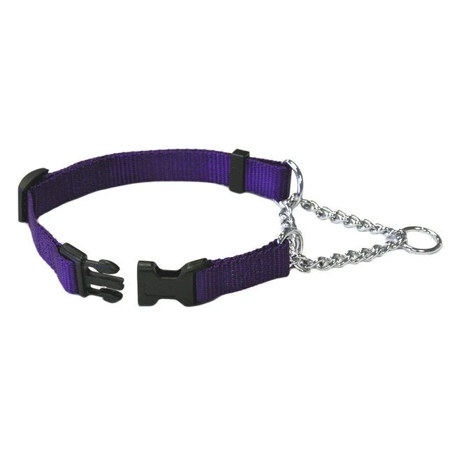 Purple Adjustable Chain Quick Release Martingale Dog Collar