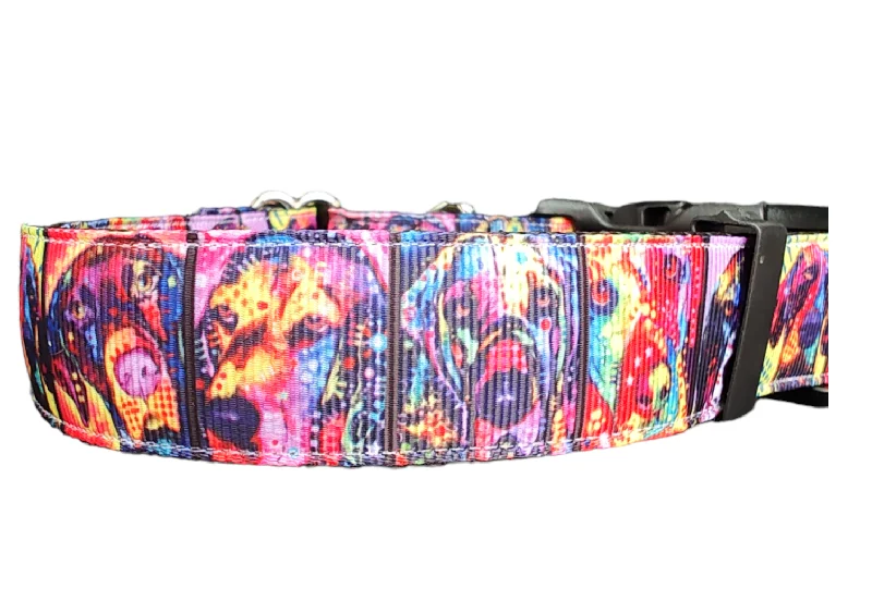 Rainbow Pup Portraits Nylon Dog Collar