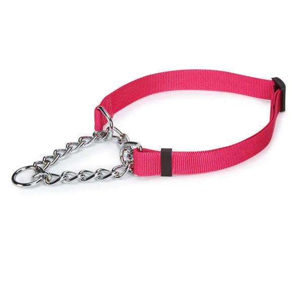 Raspberry Pink Guardian Gear Chain Martingale Dog Collar