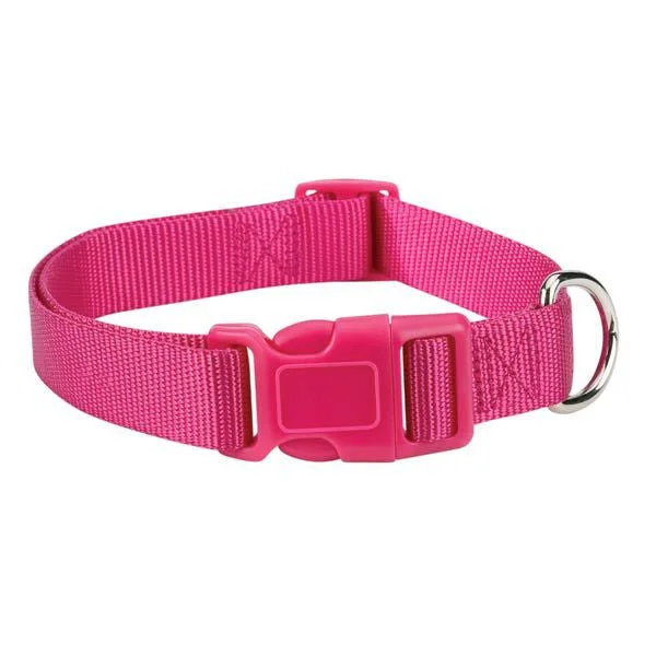 Raspberry Pink Sorbet Fashion Nylon Adjustable Dog Collar