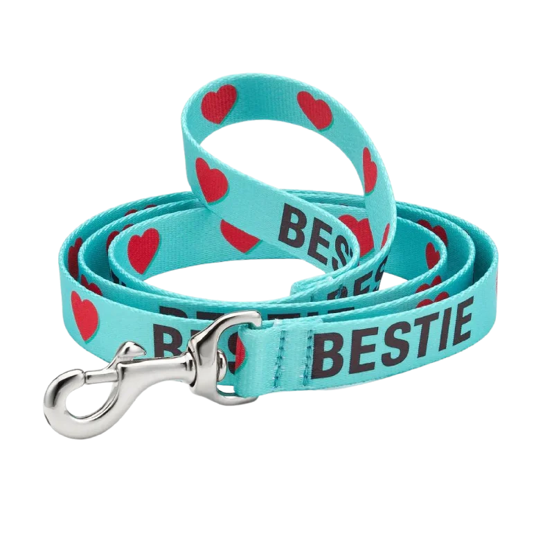 Sport Leash | Bestie