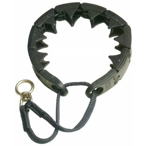 Star Mark Dog Training Collar