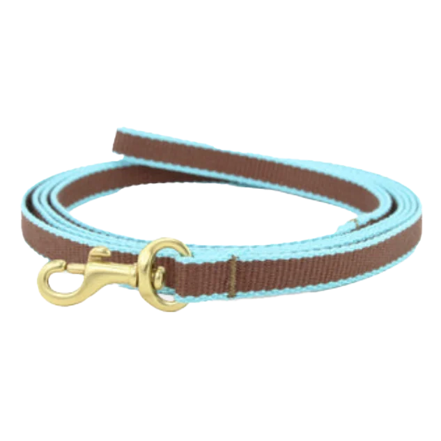 Teacup Leash | Brown & Aqua