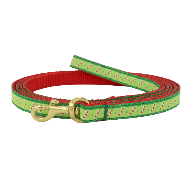 Teacup Leash | Candy Canes