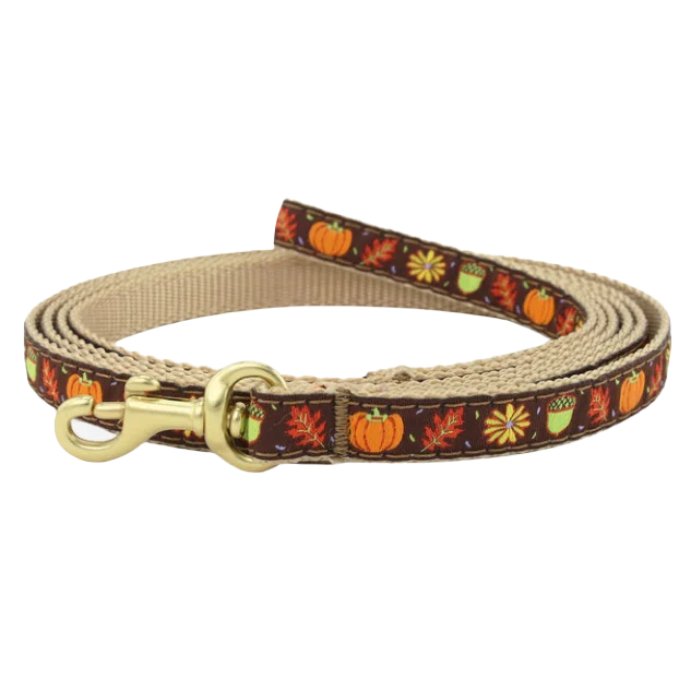 Teacup Leash | Harvest Time