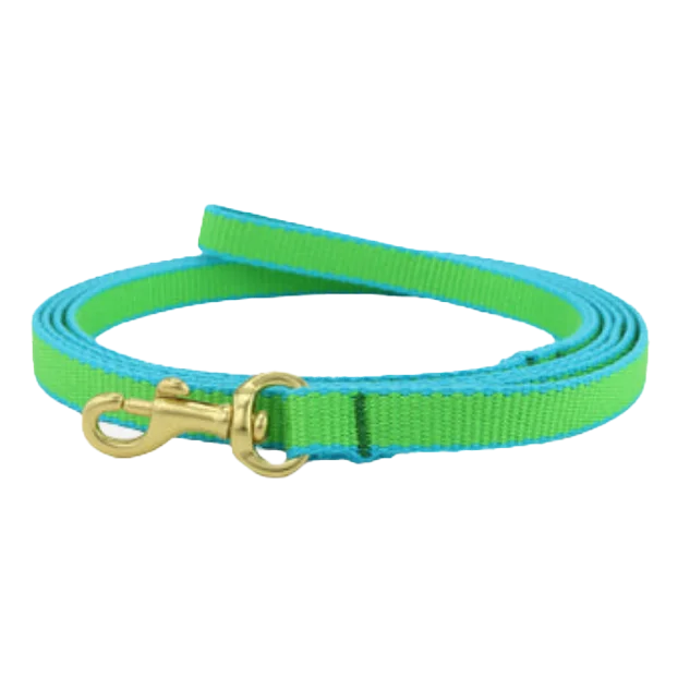 Teacup Leash | Lime & Aqua