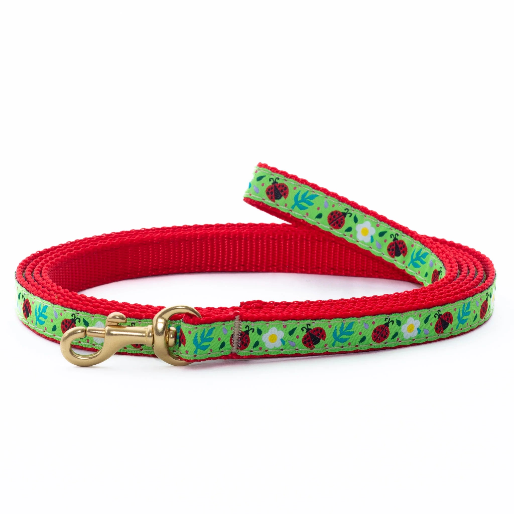 Teacup Leash | Lovely Ladybugs