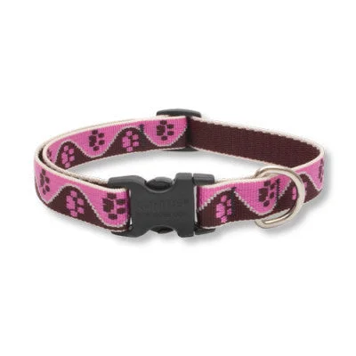 Tickled Pink Lupine Lifetime Guaranteed Dog Collar