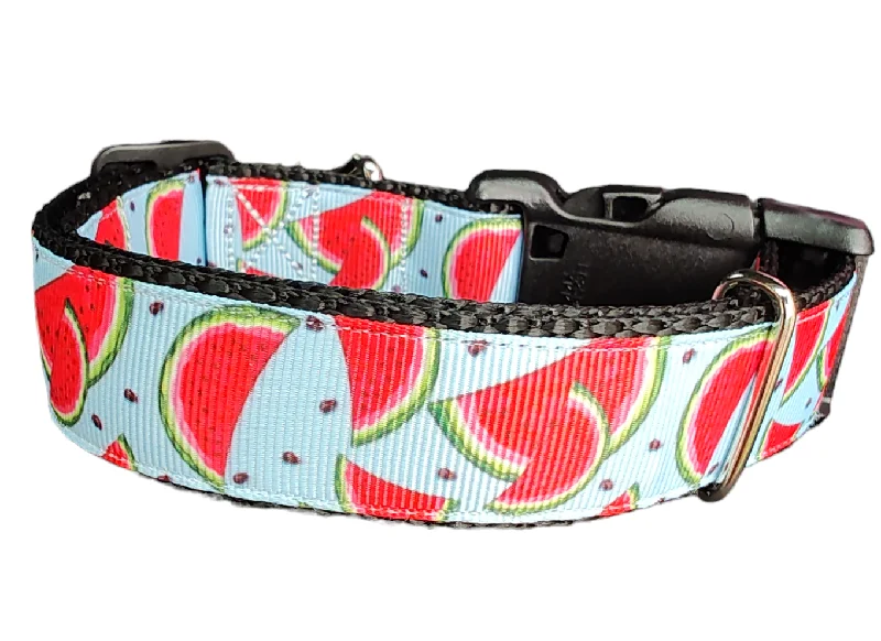 Watermelon Slices Nylon Dog Collar