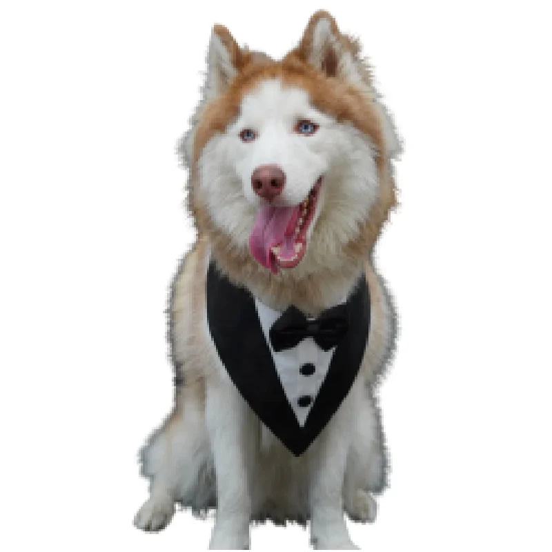 Floof & Co Silk Tuxedo for Dogs (Black)