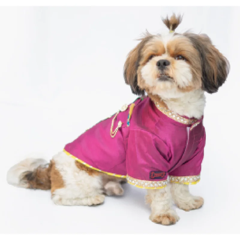 Pawgypets Raw Silk Sherwani for Dogs and Cats (Rani)